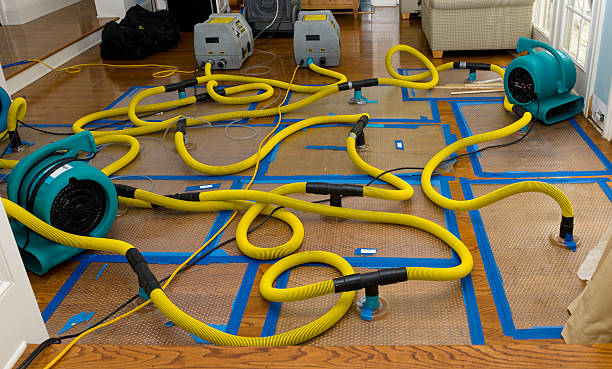 Professional Water Damage Restoration technician working in Indian Hills, CO